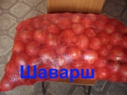 Репчатый лук