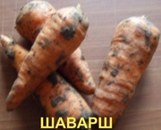 Морковь отличного качества