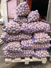 Продается картофель оптом от производителя,  Спас-Клепики